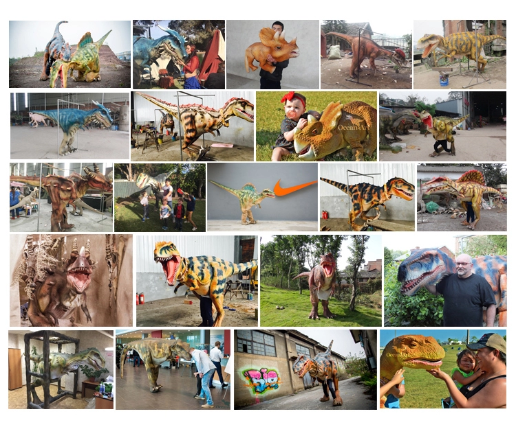 4.Dinosaur Costume Products display